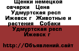 Щенки немецкой овчарки › Цена ­ 5 000 - Удмуртская респ., Ижевск г. Животные и растения » Собаки   . Удмуртская респ.,Ижевск г.